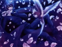 BUY NEW touka gettan - 126597 Premium Anime Print Poster